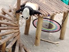 -沈阳森林动物园
