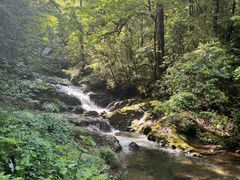 -龙苍沟森林公园