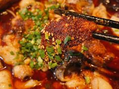 -向川南·水煮鱼·川菜(和平里店)