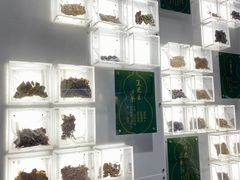 -广东中医药博物馆