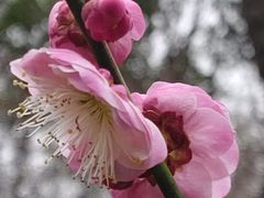 -洛阳市隋唐城遗址植物园