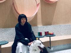 -電力宠物公司(武定路店)