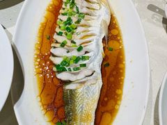 -金美华轩(东方路齐鲁店)