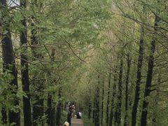 -东白山