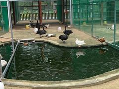 -羊亭河湿地公园