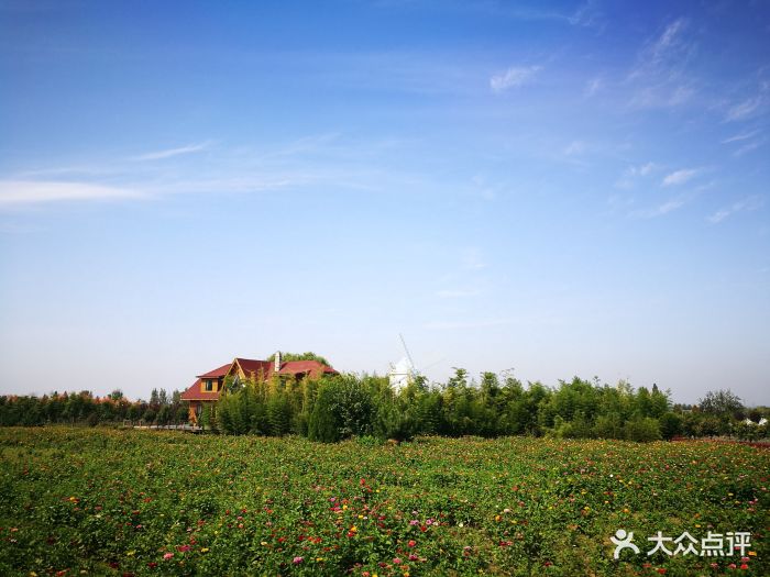 曲江薰衣草庄园图片 - 第5张