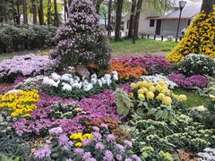 -共青国家森林公园-售票处