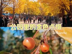 -辽宁大学(崇山校区)