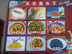 -天乐农家鱼头王(天目湖店)