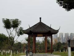 -眉山湿地公园(东坡区)