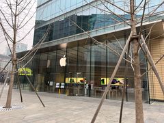 -Apple零售店(华贸购物中心店)