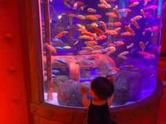 -沈阳海洋探索中心