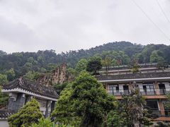 -老幺泉水鸡