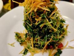 巧拌豆苗-四季民福烤鸭店(王府井灯市口店)
