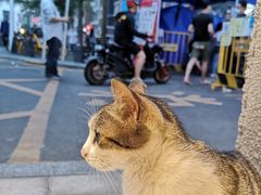 -MQ COFFEE STAND明谦(新洲店)