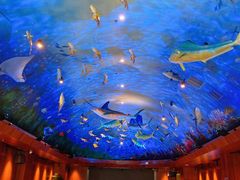 -海游荟·海洋文化餐厅(福田店)