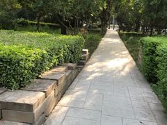 -唐城墙遗址公园