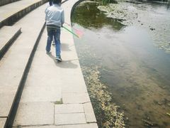 -新江湾城公园