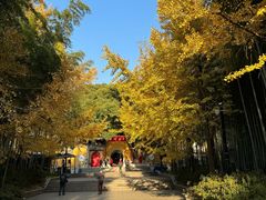 -虞山风景区