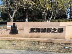 -盘龙城国家考古遗址公园