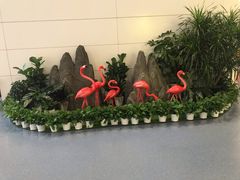 -银川河东国际机场