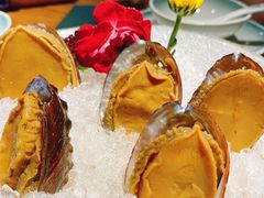 手工冰镇鲍鱼-木棉·醉心粤味(COCO Park店)