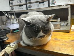 -不作·手工银饰DIY(西红门店)