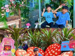 -正佳雨林生态植物园