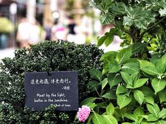 -比斯特上海购物村精品奥特莱斯