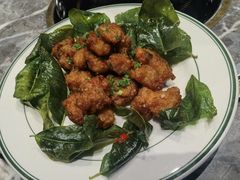 -禄婶鸡煲·打边炉