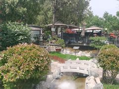 -蘇河湾·新鲁菜·泰山宴(泰山店)