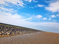 -南汇嘴观海公园