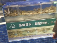 -圣罗巴海鲜自助(黑金店)