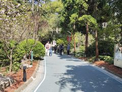 -人民公园-相亲角