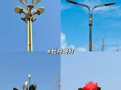 -洛阳市牡丹公园