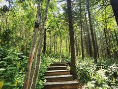 -白草畔自然风景区