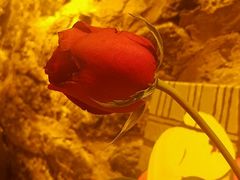 -在路上酒吧(大理古城店)