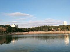-黄兴公园