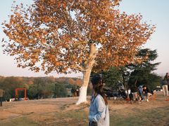 -钟山体育运动公园