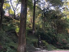 -南山植物园