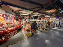 -狐狸和向日葵(北京路店)