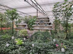 -南宫五洲植物乐园