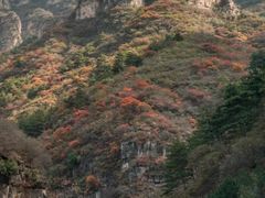 -狼牙山风景区