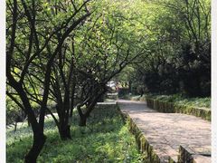-南山植物园