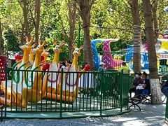 -长白岛森林公园