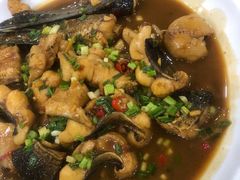 -全乐鱼馆·淳牌有机鱼直营店