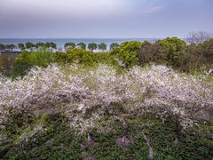 -阳澄湖半岛旅游度假区