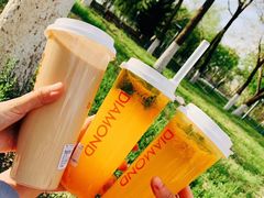 -长白岛森林公园