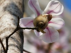 -东华门大街小区