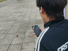 -湖锦酒楼·旗舰店(三阳总店)